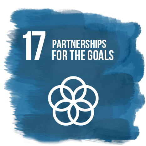 partnerships-for-the-goals