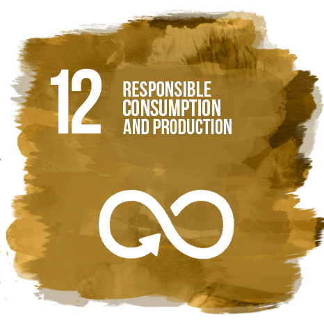 Responsible Consumption and Production