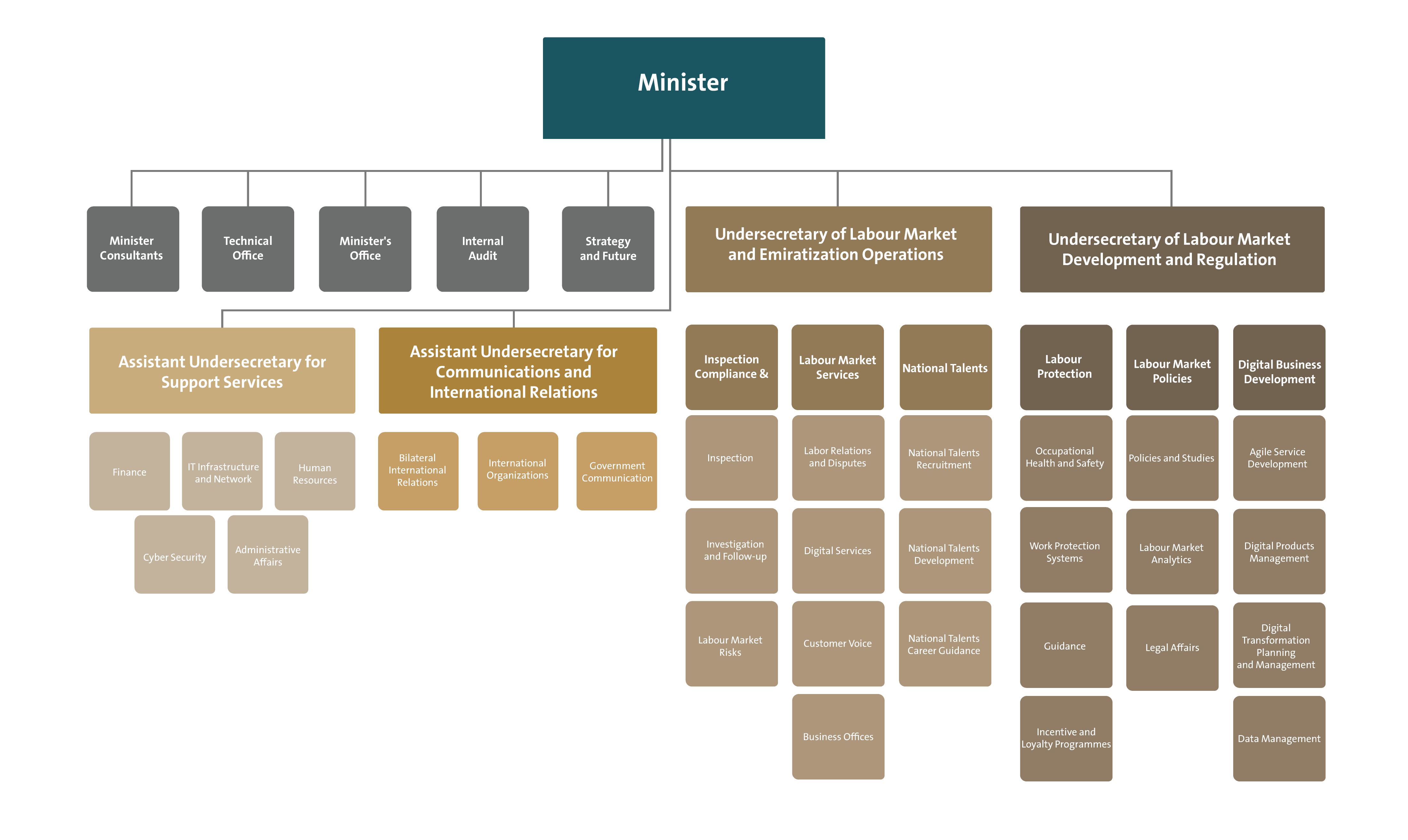 Organizational Chart